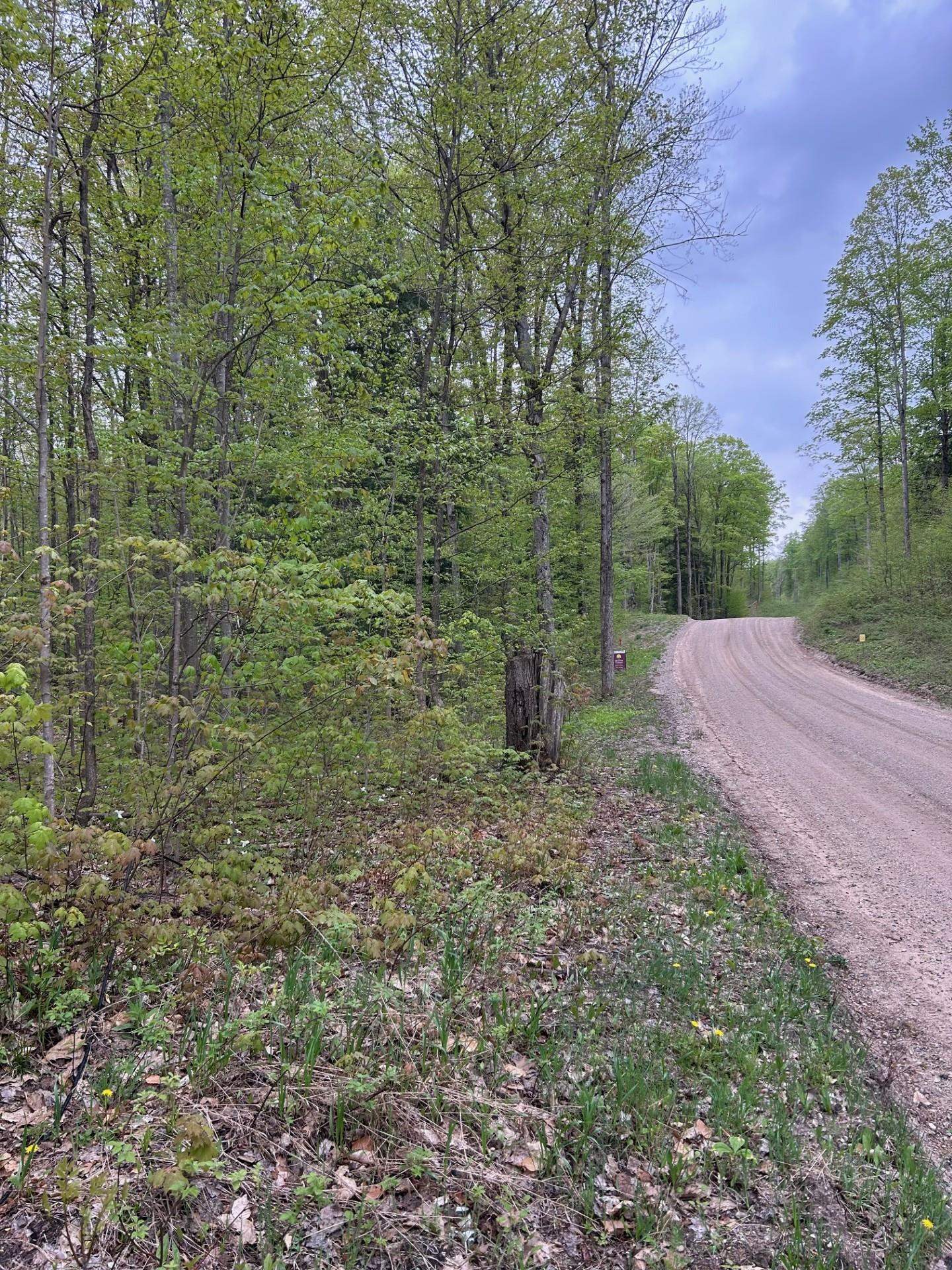 Lake Street Beulah, MI 49617 - Photo 3 of 14