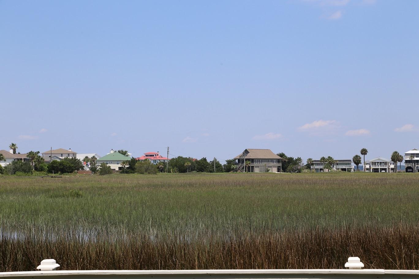 1505 Jungle Road Edisto Beach, SC 29438 - Photo 38 of 52 IMG_0558