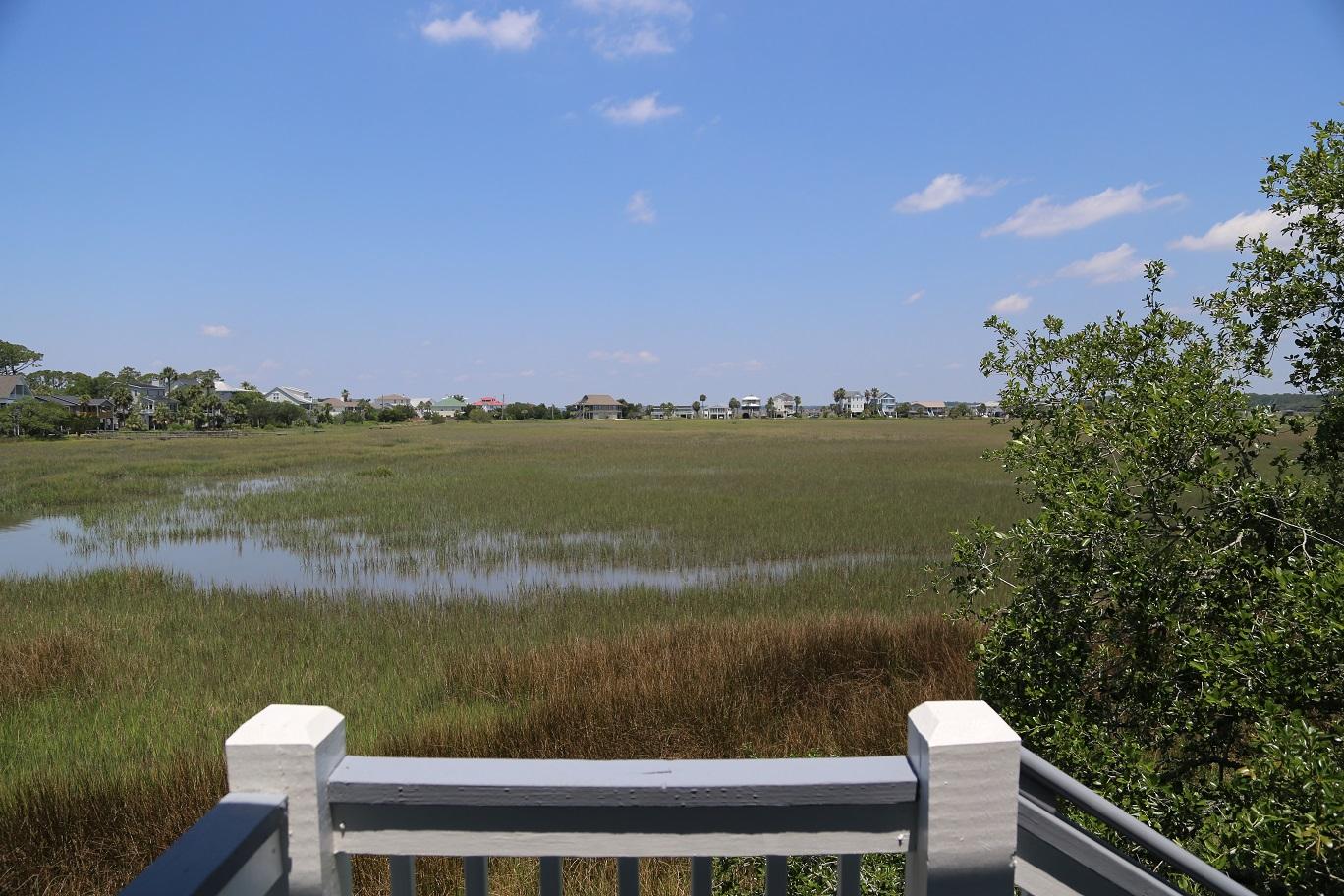 1505 Jungle Road Edisto Beach, SC 29438 - Photo 44 of 52 IMG_0607
