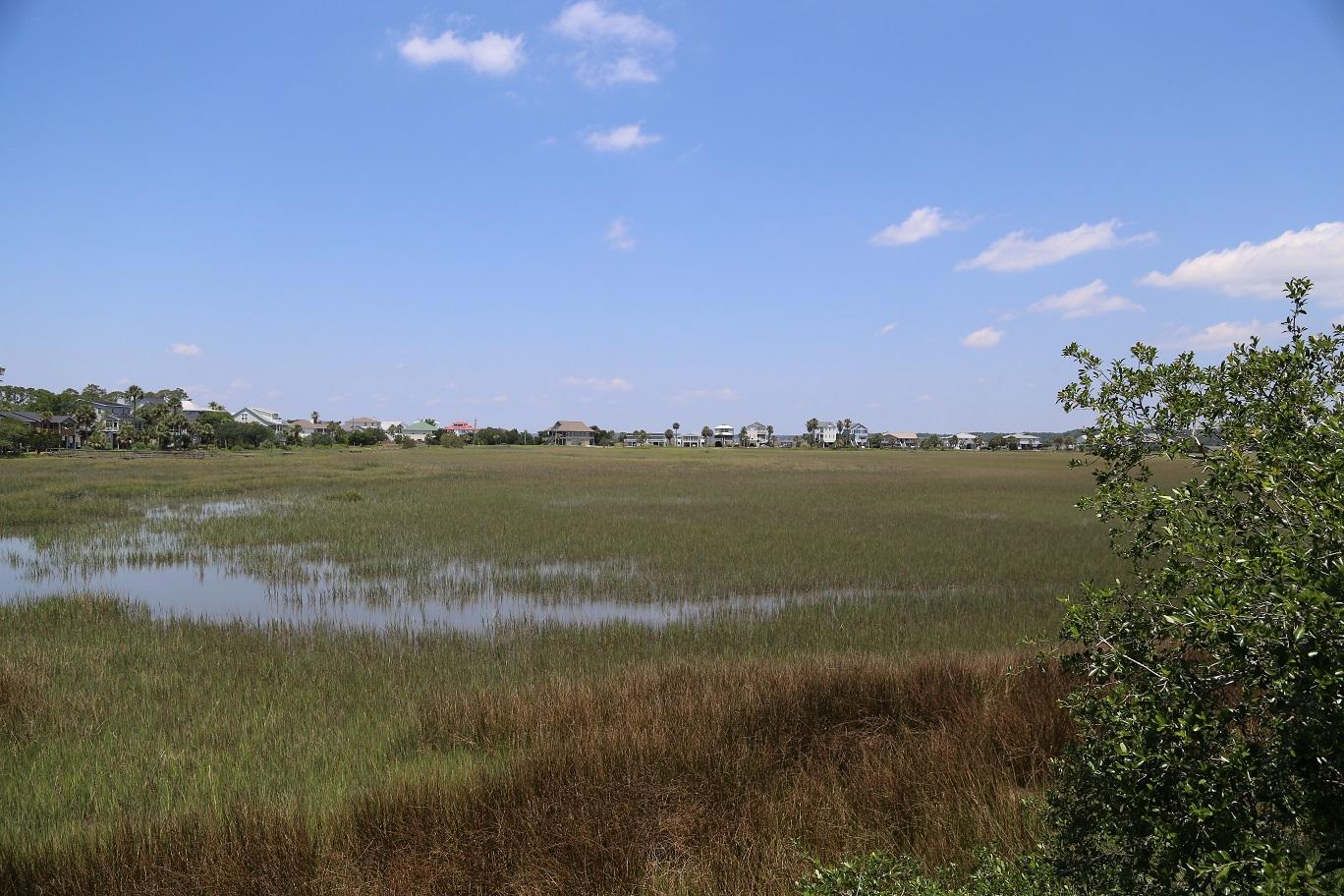 1505 Jungle Road Edisto Beach, SC 29438 - Photo 45 of 52 IMG_0608