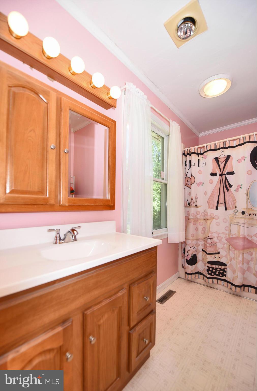 1088 Old Elk Neck Road Elkton, MD 21921 - Photo 20 of 30 Bath (Master)