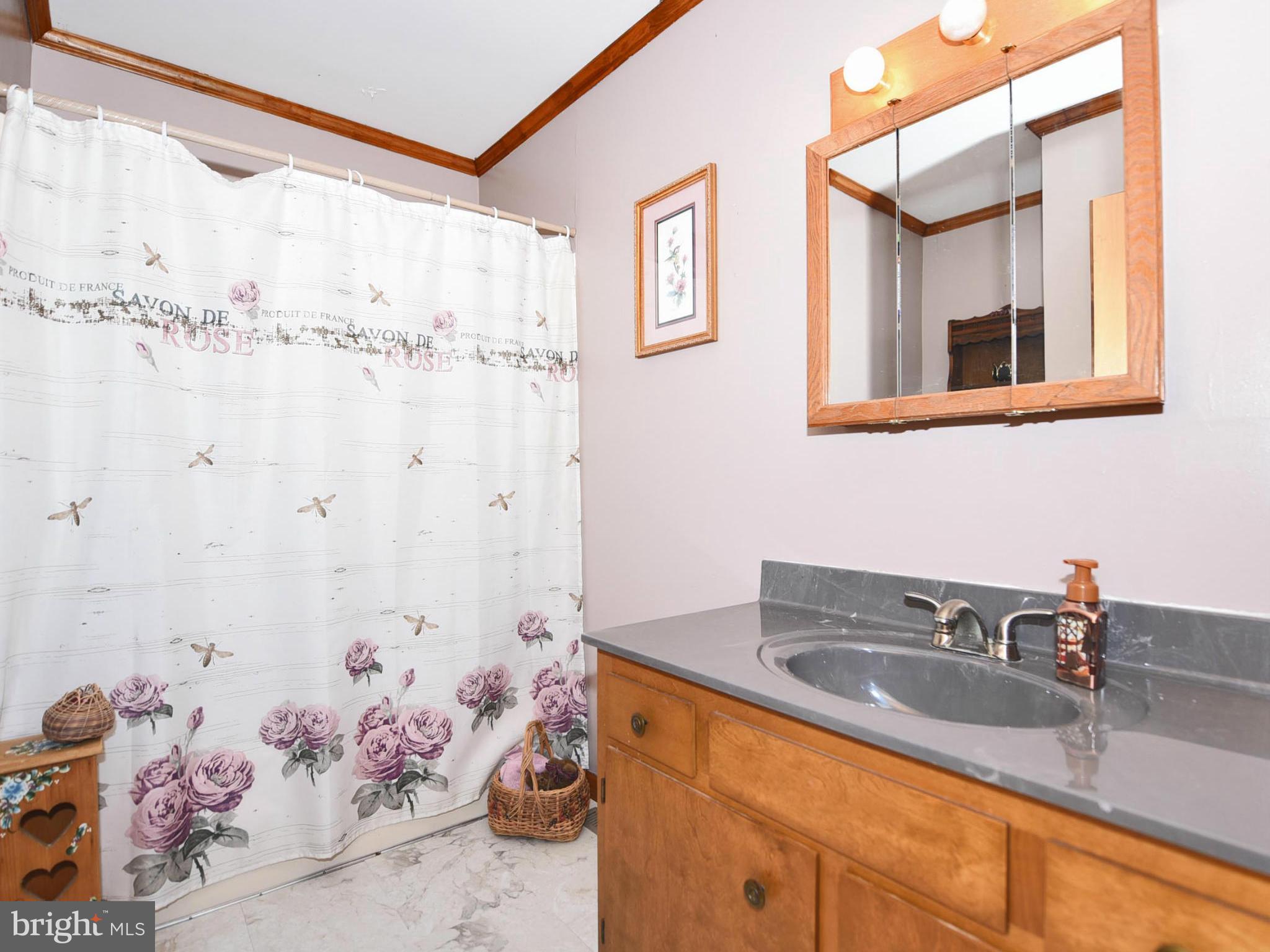 1088 Old Elk Neck Road Elkton, MD 21921 - Photo 23 of 30 full bath hallway