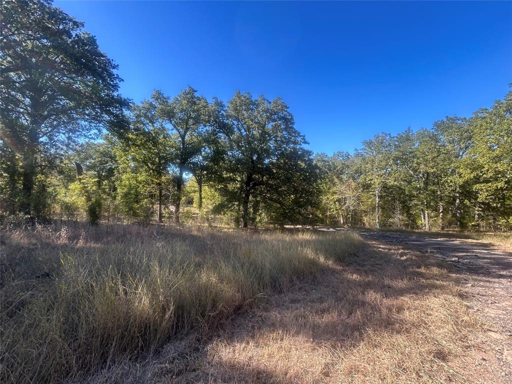 0 Boca Chia Malakoff, TX 75148 - Photo 6 of 10 a view of a yard with a tree