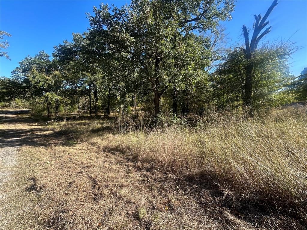 0 Boca Chia Malakoff, TX 75148 - Photo 7 of 10 a view of lake with tree