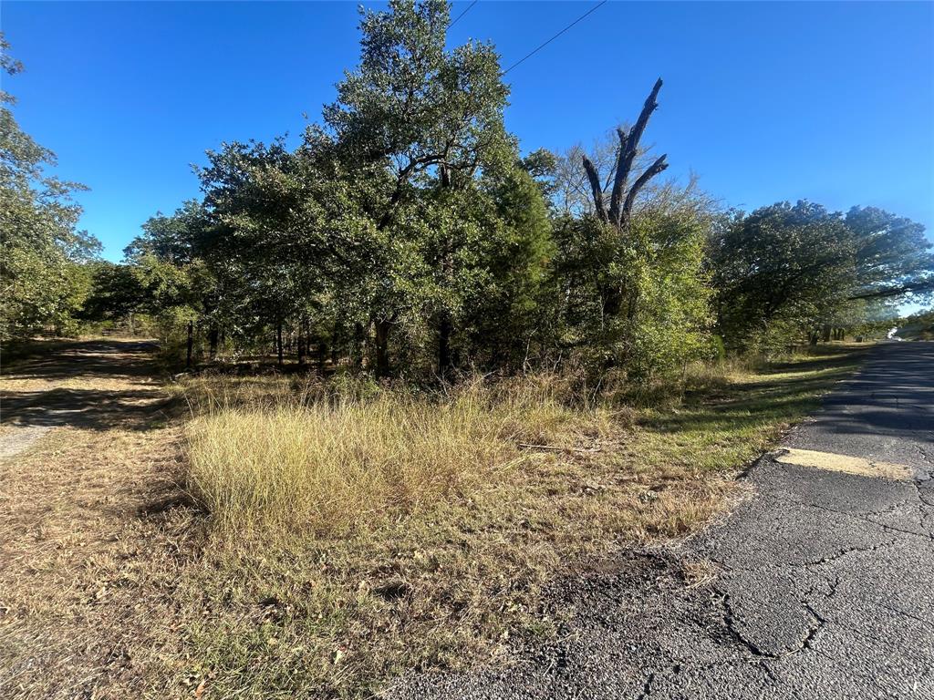 0 Boca Chia Malakoff, TX 75148 - Photo 8 of 10 a view of lake with green space