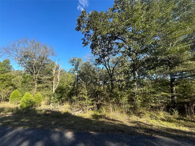 a view of yard with large trees