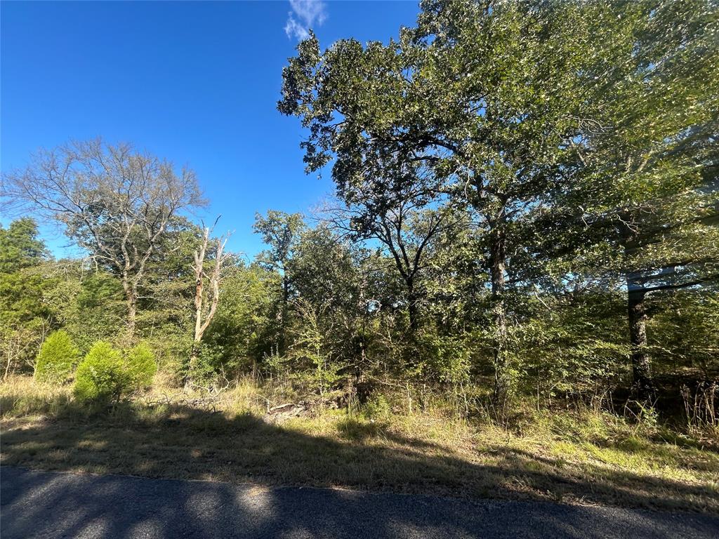 0 Boca Chia Malakoff, TX 75148 - Photo 10 of 10 a view of yard with large trees