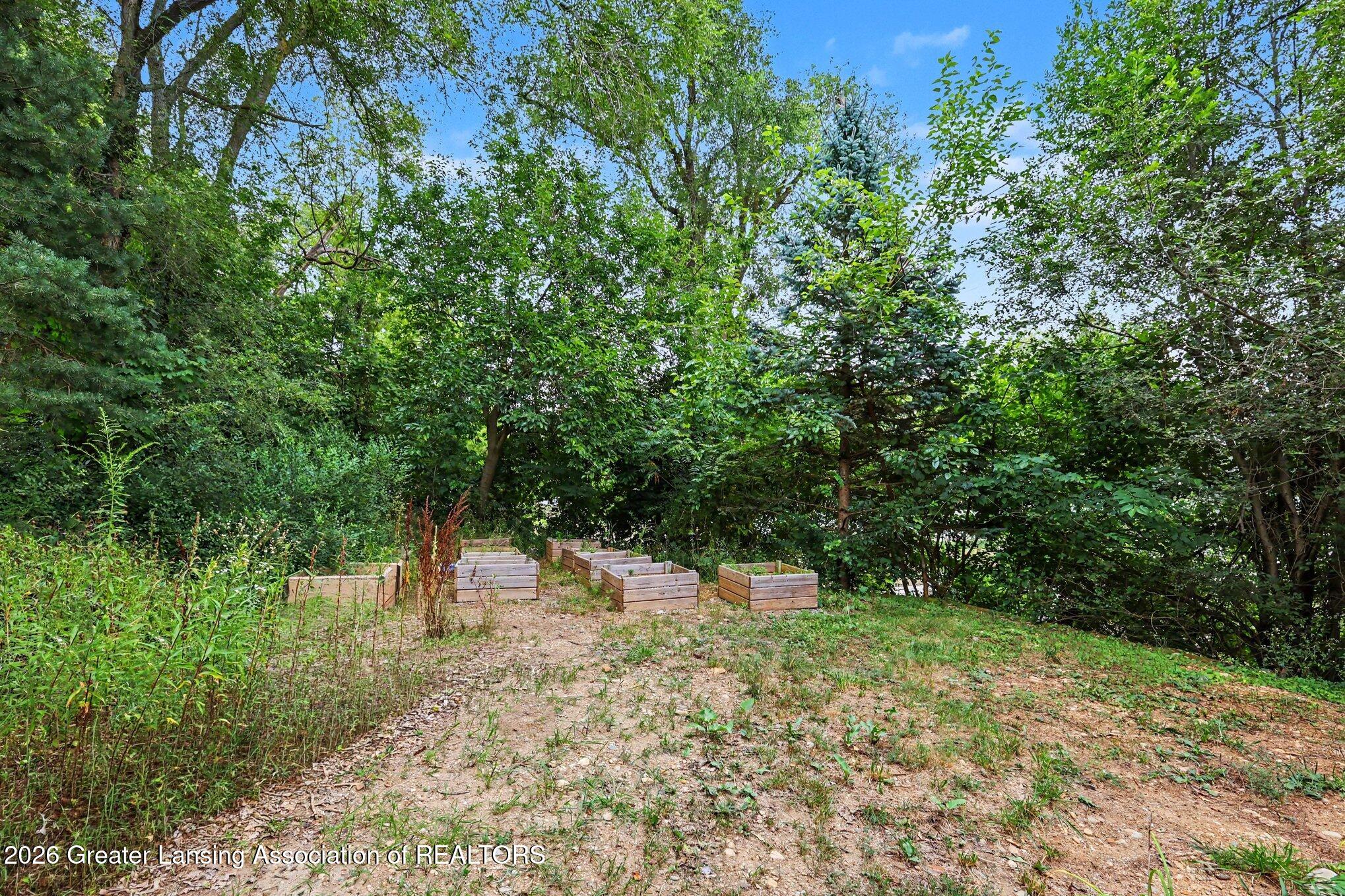 11837 Beech Road Brooklyn, MI 49230 - Photo 29 of 42 Side Yard