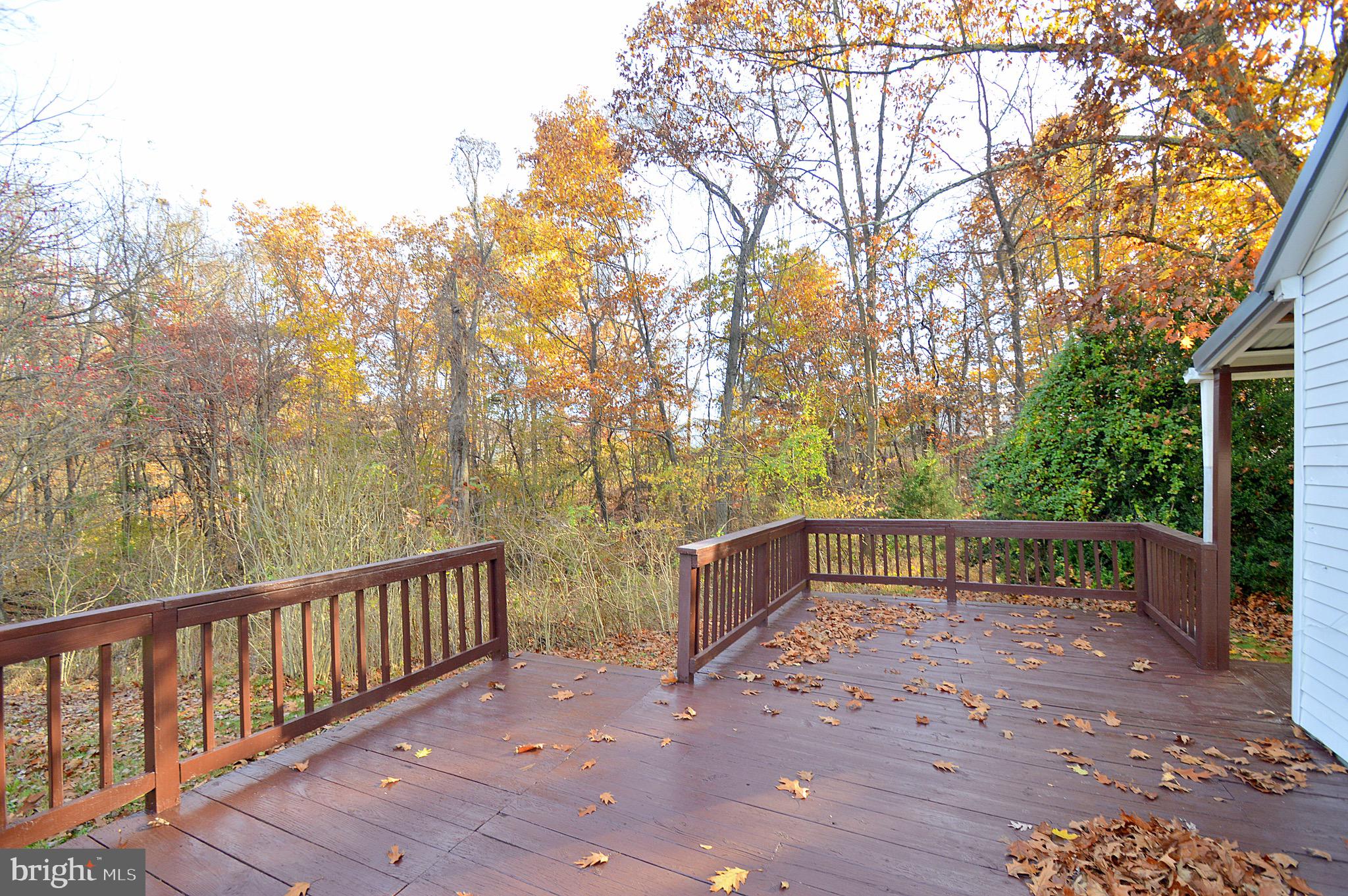 3751 Highland Ridge Road Berkeley Springs, WV 25411 - Photo 20 of 39