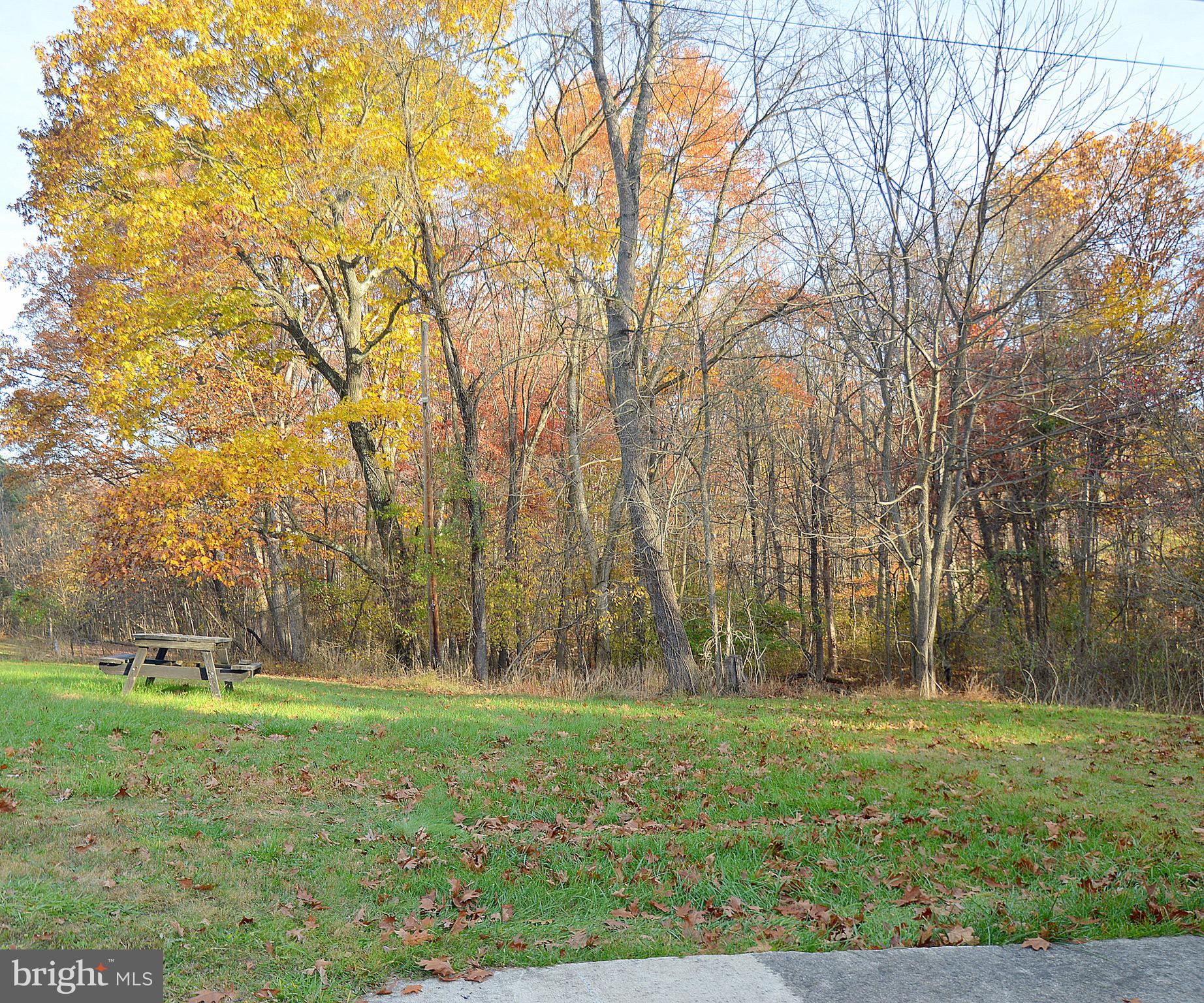 3751 Highland Ridge Road Berkeley Springs, WV 25411 - Photo 23 of 39