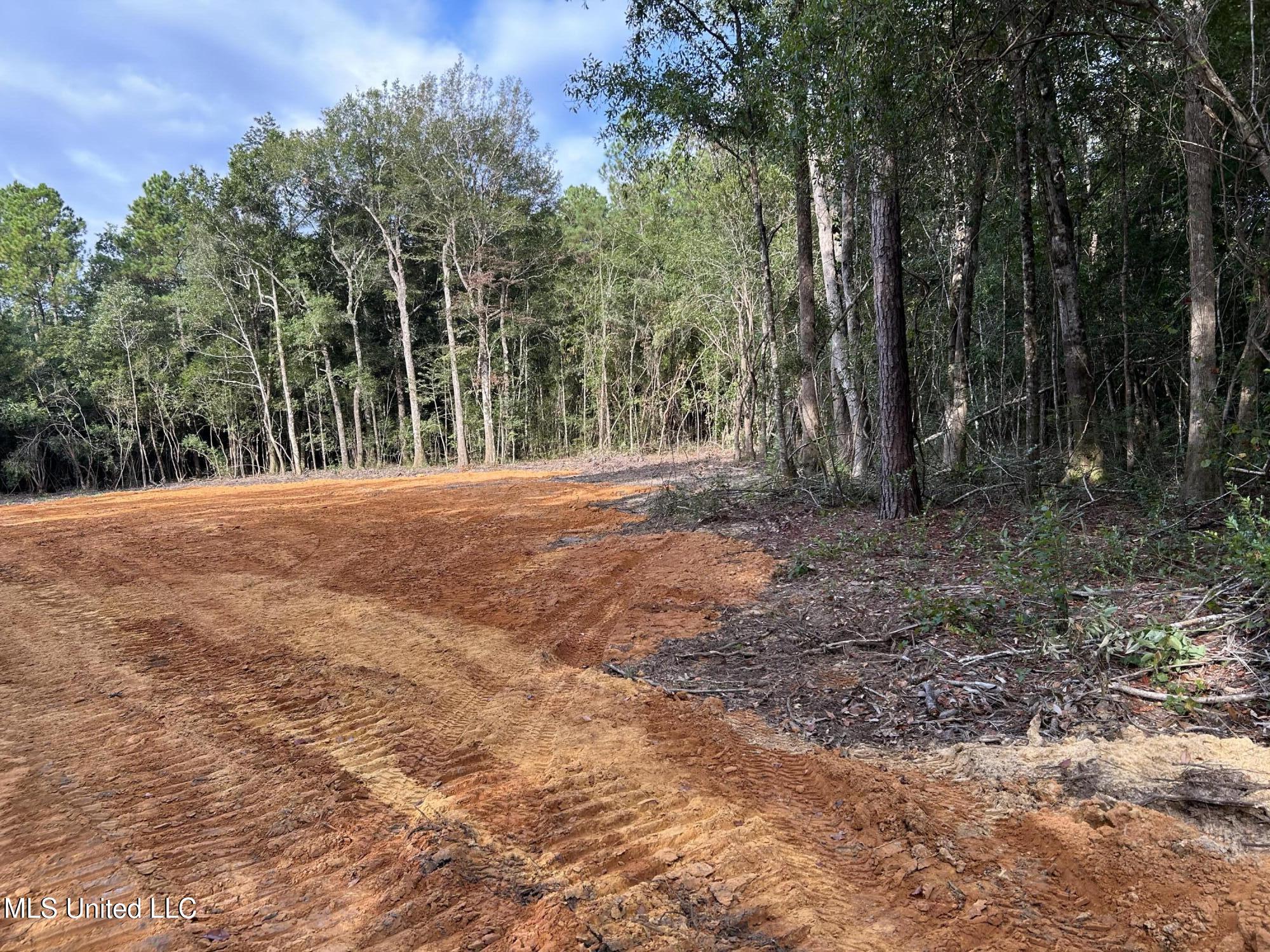 Old River Road Vancleave, MS 39565 - Photo 1 of 6 IMG_1087
