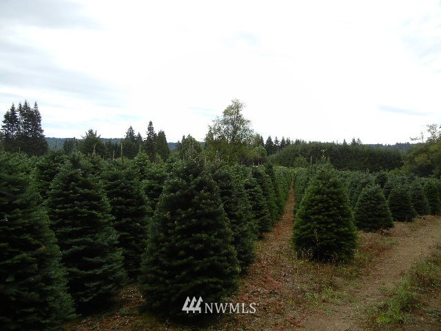 2 Englert Road Woodland, WA 98674 - Photo 11 of 12 Gallery Image 11