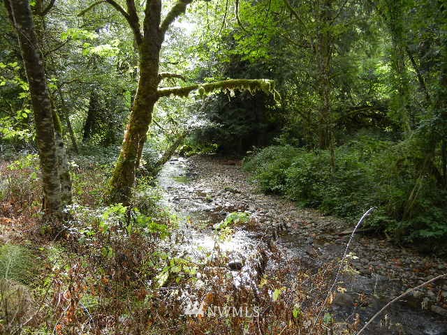 2 Englert Road Woodland, WA 98674 - Photo 12 of 12 Gallery Image 12