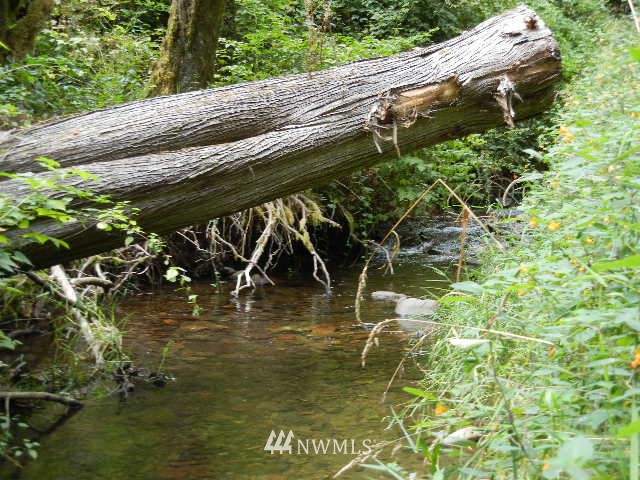 2 Englert Road Woodland, WA 98674 - Photo 3 of 12 Gallery Image 3