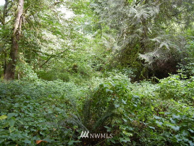 2 Englert Road Woodland, WA 98674 - Photo 5 of 12 Gallery Image 5