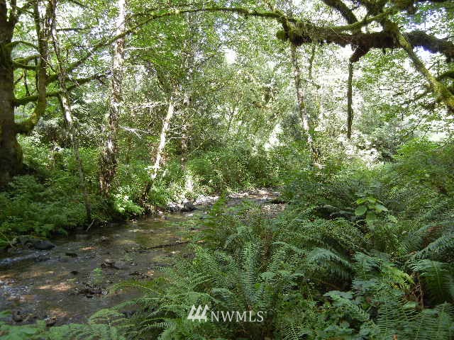 2 Englert Road Woodland, WA 98674 - Photo 7 of 12 Gallery Image 7