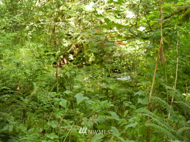 2 Englert Road Woodland, WA 98674 - Photo 8 of 12 Gallery Image 8