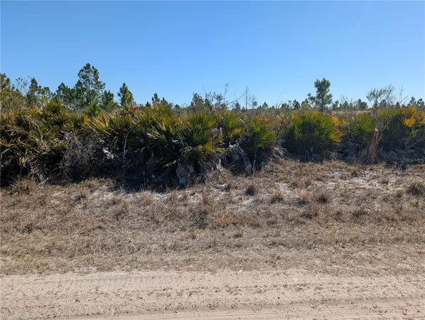 a view of a dry yard with trees