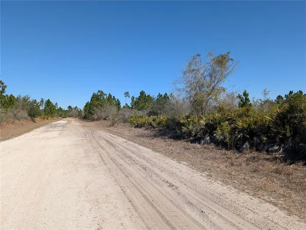 a view of a dry yard with wooden fence