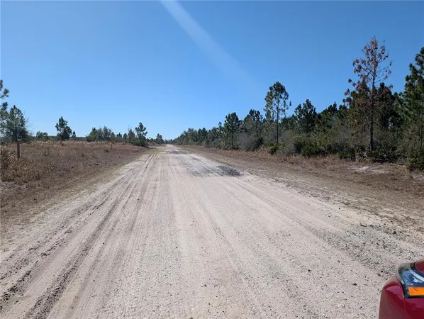 a view of a dry yard with wooden fence