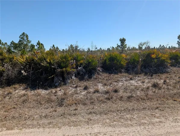 a view of a dry yard with trees