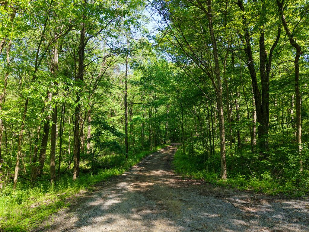 637 American School Road Harmony, PA 16037 - Photo 3 of 21