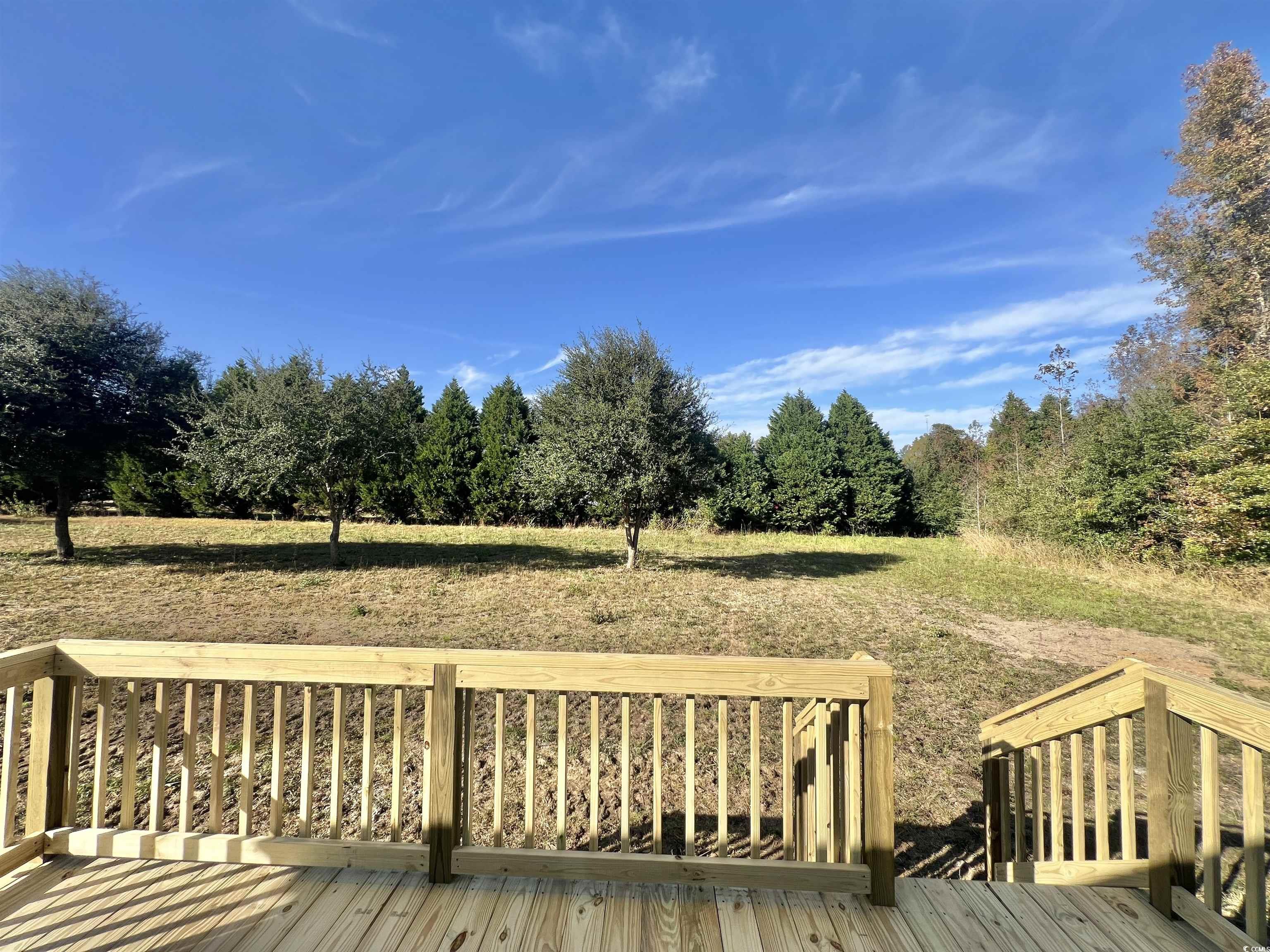 2010 Warren's Loop Marion, SC 29571 - Photo 2 of 18 View of deck