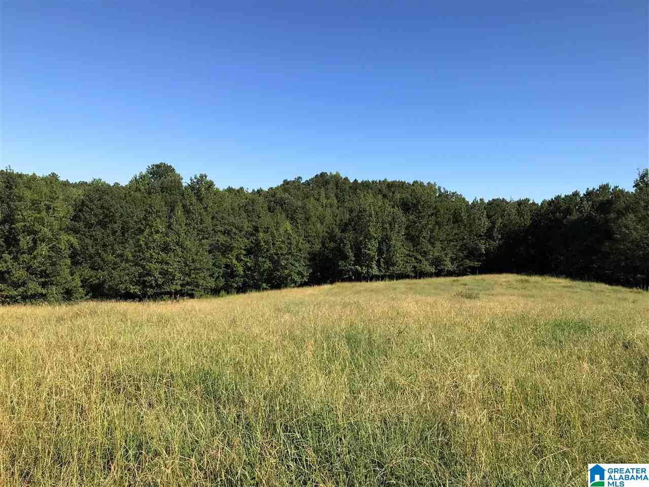 5425 East Mill Road Lineville, AL 36266 - Photo 37 of 50