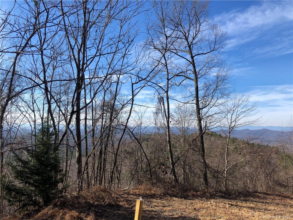 0 Big Rock Road, Unit 119 Bostic, NC 28018 - Photo 11 of 26 Gallery Image 11