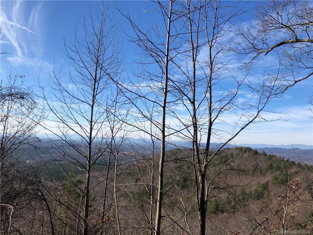 0 Big Rock Road, Unit 119 Bostic, NC 28018 - Photo 13 of 26 Gallery Image 13