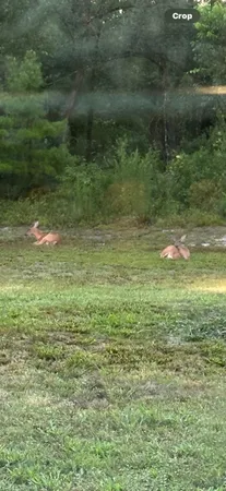 $549,000 | 150 Houck Road, Perry, FL 32348