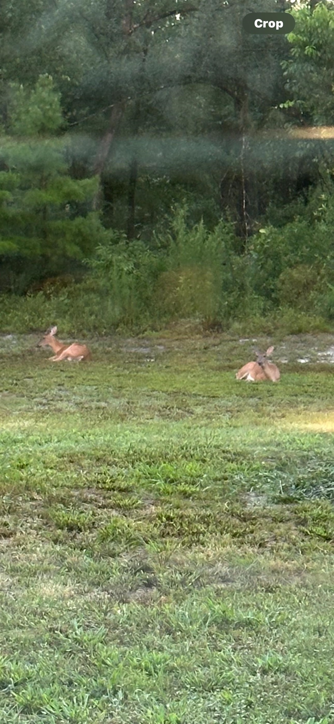 150 Houck Road Perry, FL 32348 - Photo 3 of 42