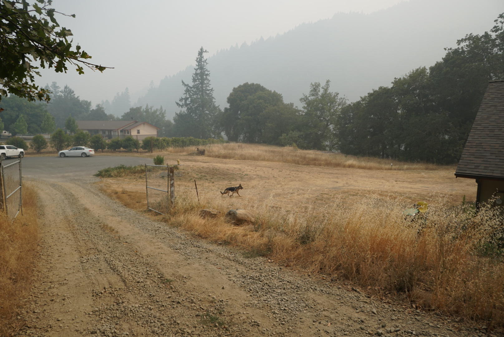0 Hayforkk Road Hayfork, CA 96041 - Photo 1 of 1