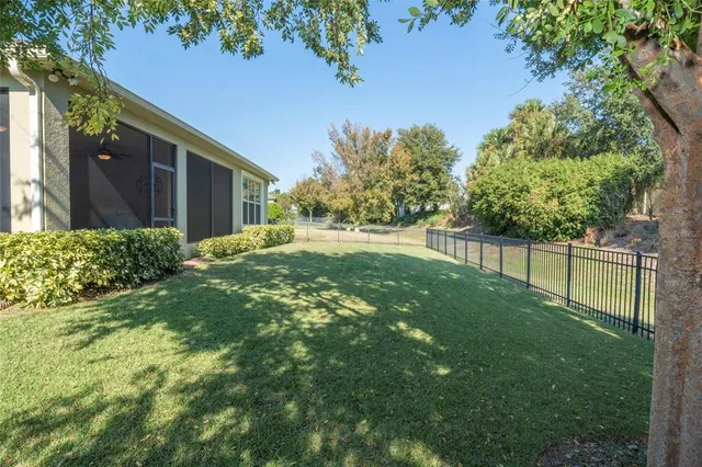 a view of a backyard with a large tree