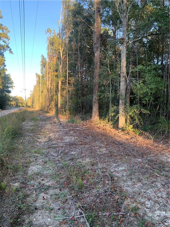 0 Camp Salmen Road Slidell, LA 70460 - Photo 2 of 2