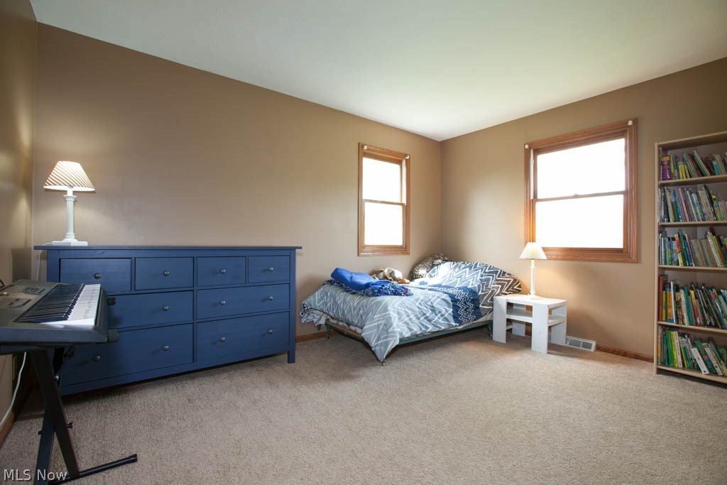 19098 Ridgeview Trail Chagrin Falls, OH 44023 - Photo 16 of 34 Gallery Image 16