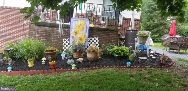 a view of backyard with garden