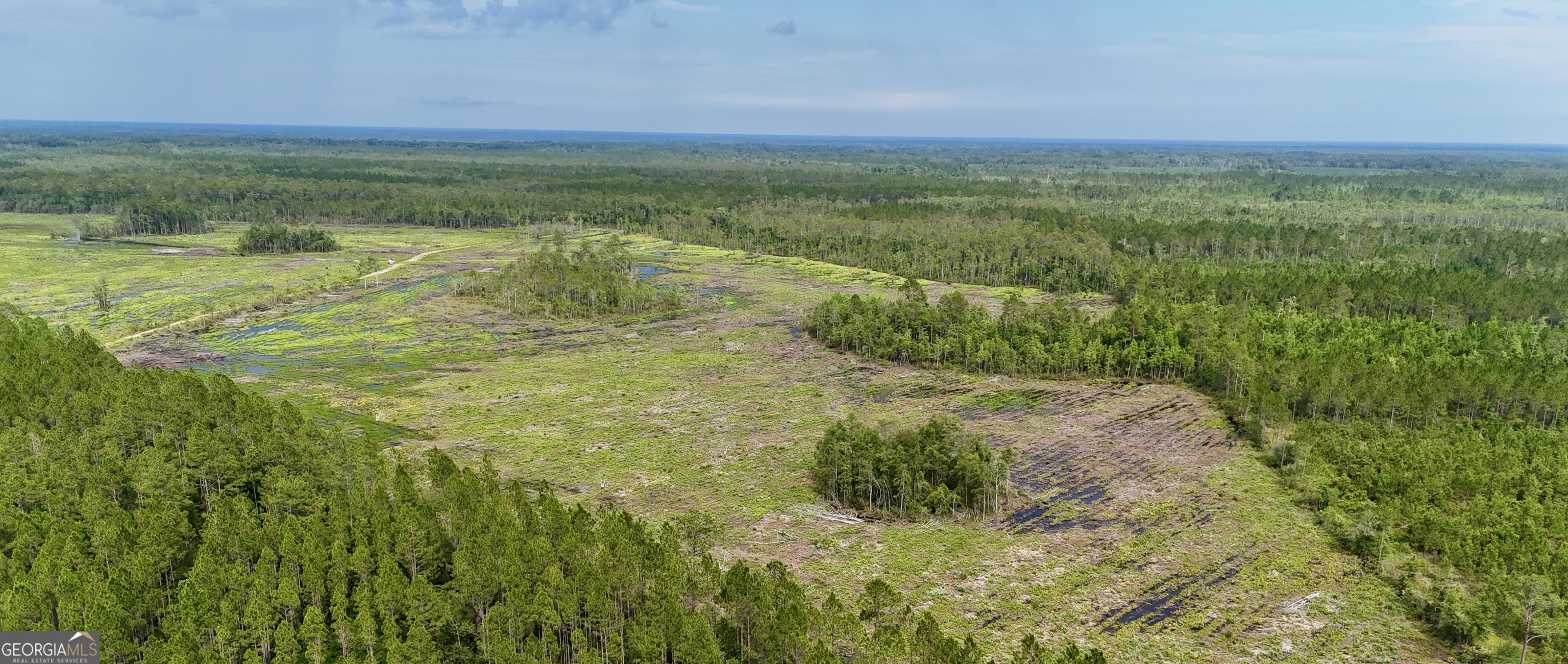 0 Off Dogwood Road Waynesville, GA 31566 - Photo 1 of 4 a view of a field with an ocean