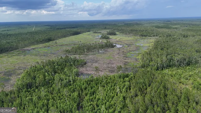 a view of a field with an ocean