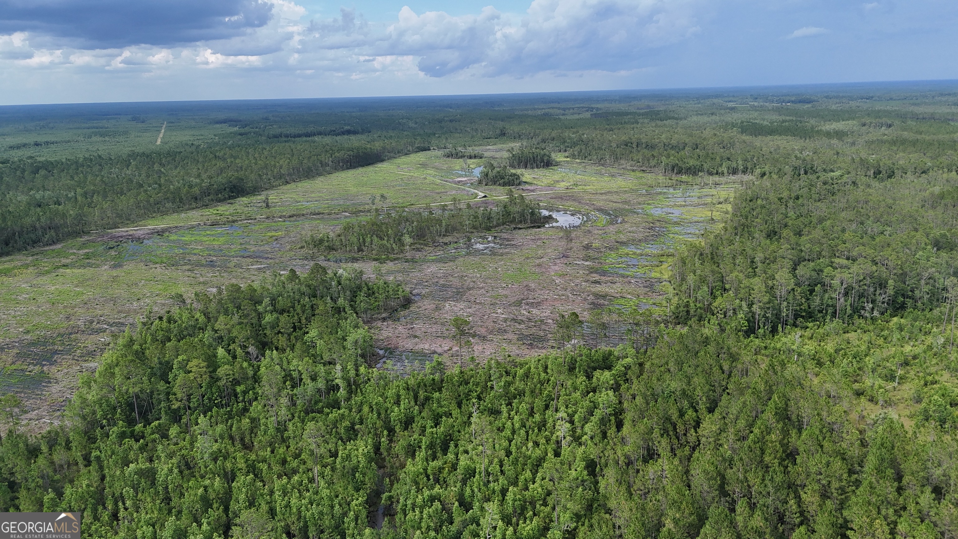 0 Off Dogwood Road Waynesville, GA 31566 - Photo 2 of 4 a view of a field with an ocean