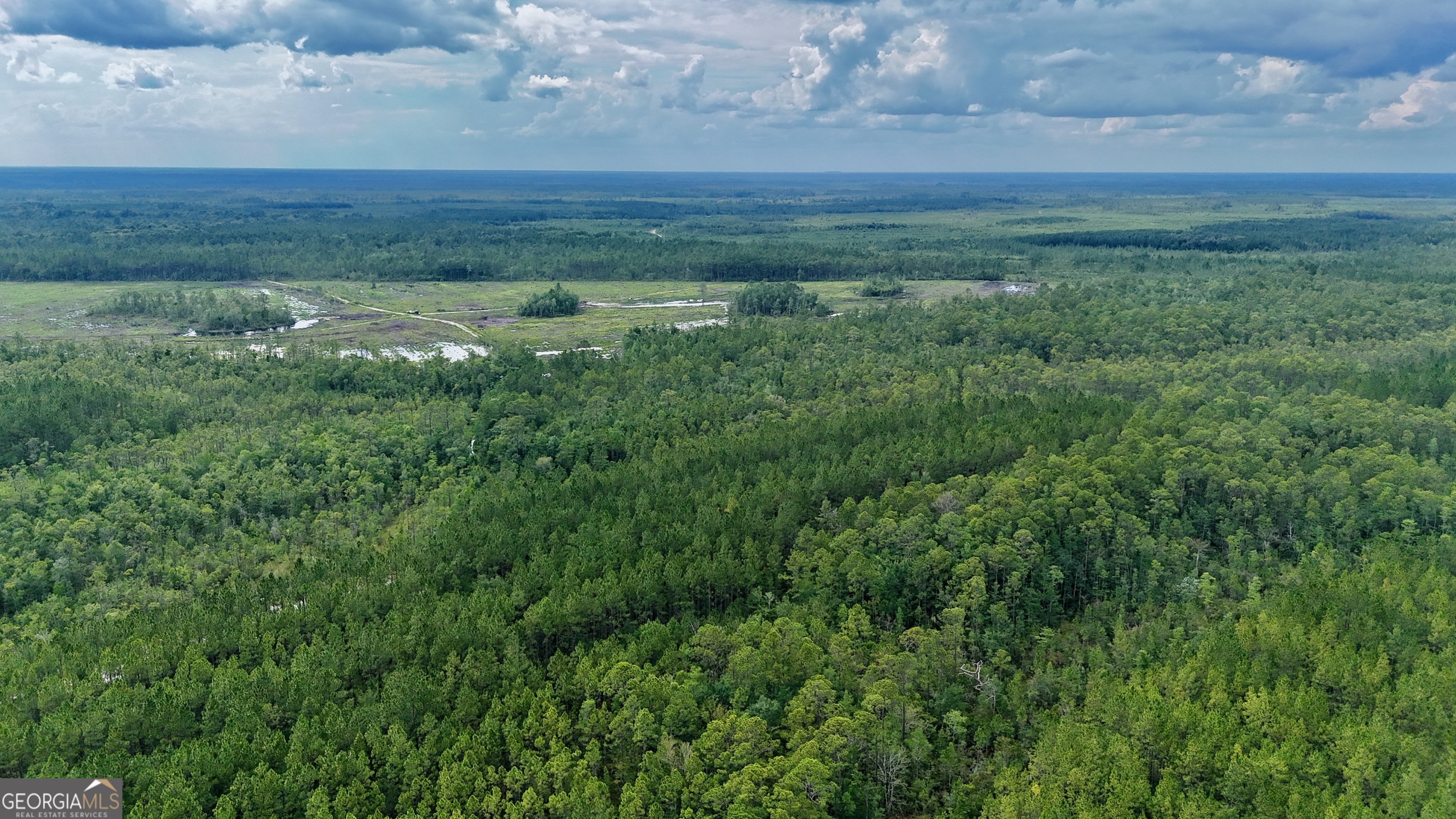 0 Off Dogwood Road Waynesville, GA 31566 - Photo 3 of 4 a view of a field of grass and trees