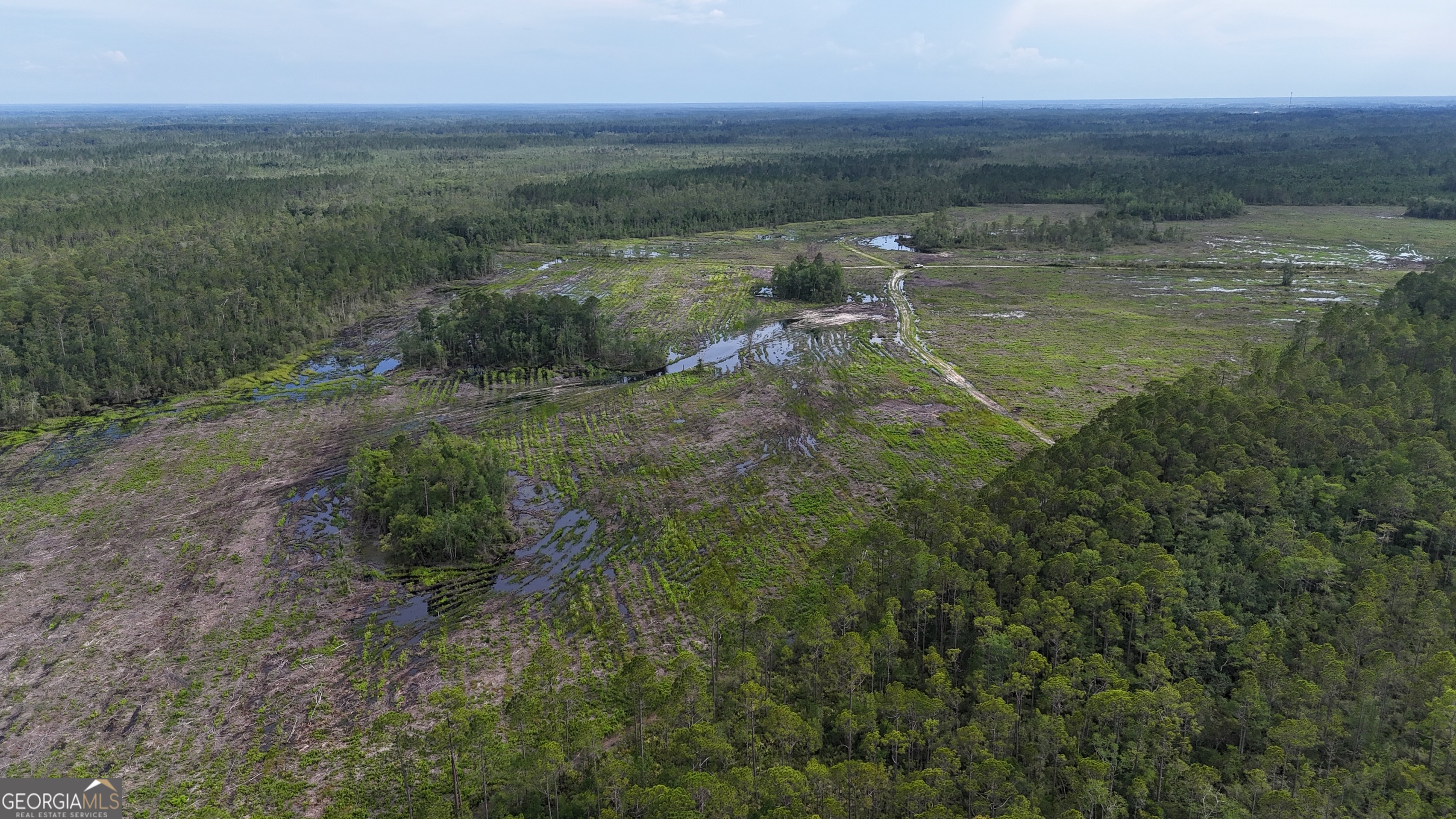 0 Off Dogwood Road Waynesville, GA 31566 - Photo 4 of 4 a view of a lake with a yard