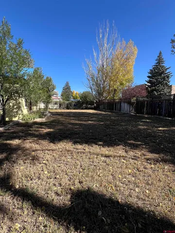 a view of yard with large tree