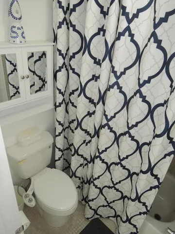 a white toilet sitting next to a shower curtain