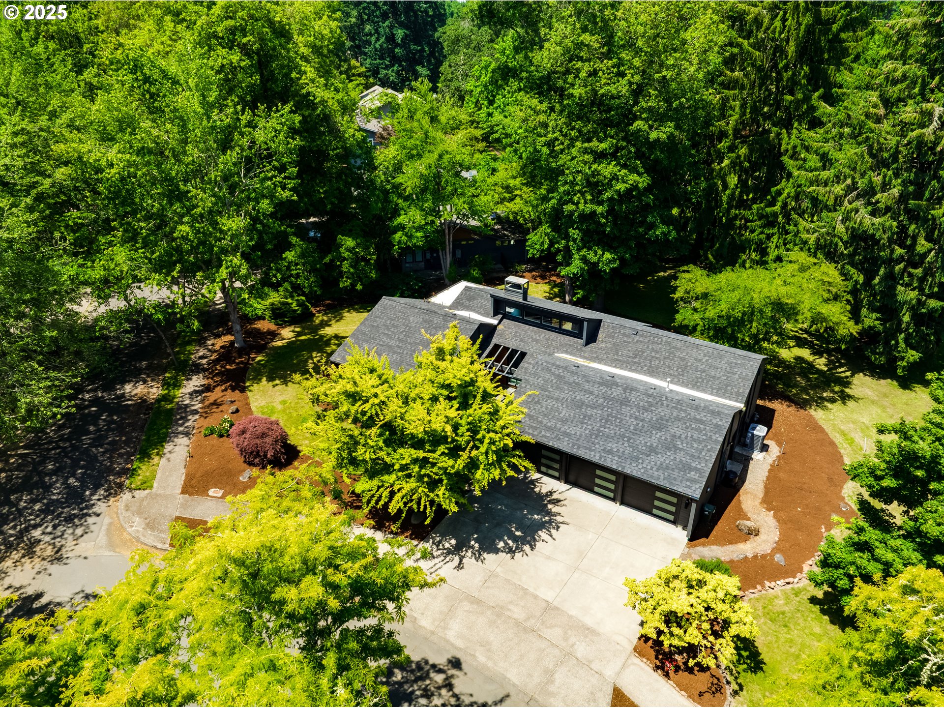 970 St Andrews Drive Eugene, OR 97401 - Photo 46 of 48 a view of a tree with a yard