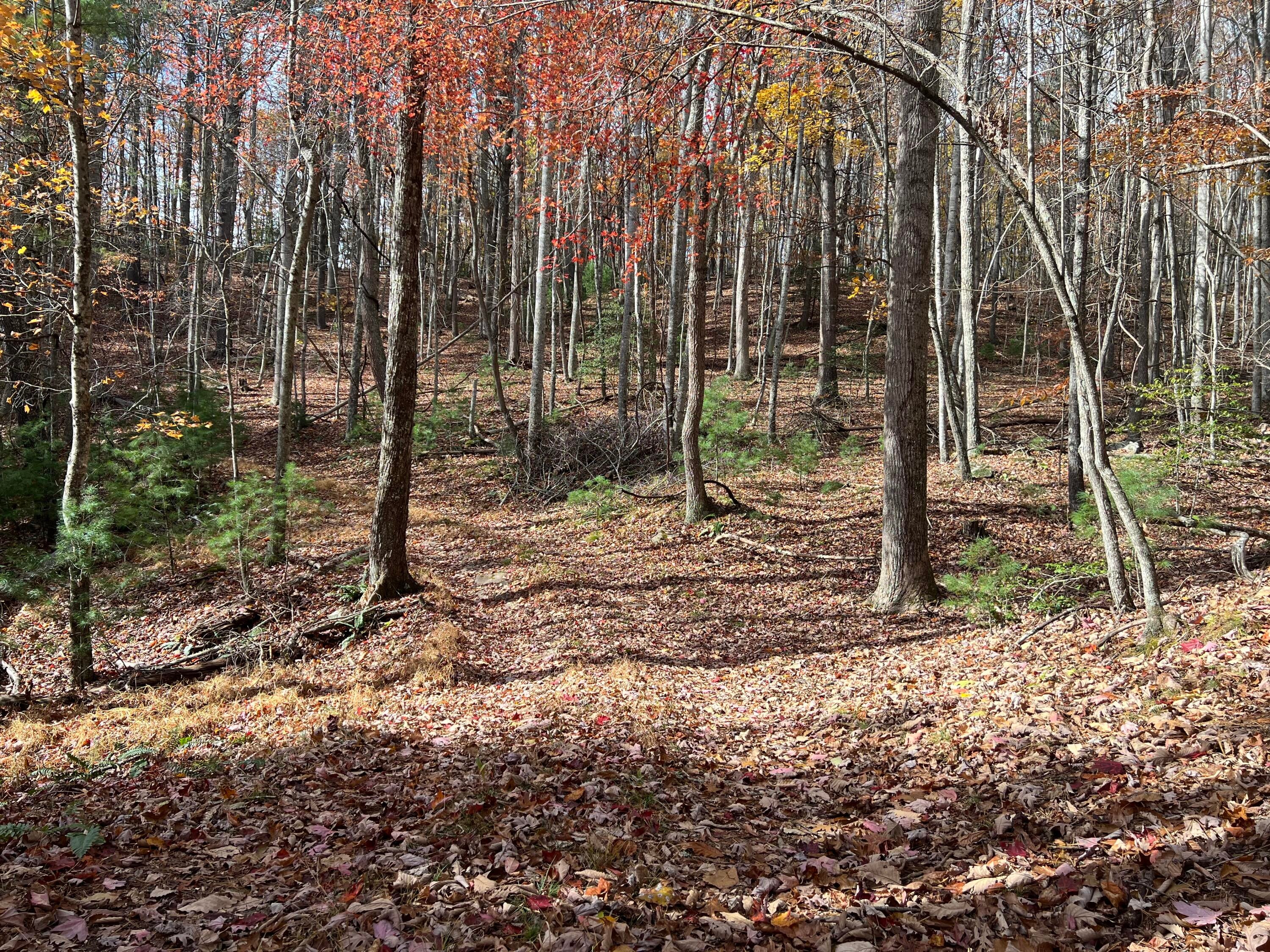Hollywood Glace Rd Union Union, WV 24983 - Photo 1 of 5 Gallery Image 1