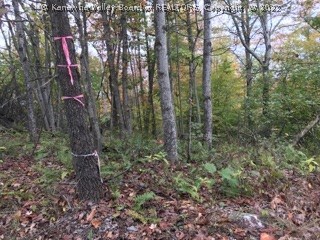 0 Fairview Road Ripley, WV 25271 - Photo 9 of 19 Gallery Image 9