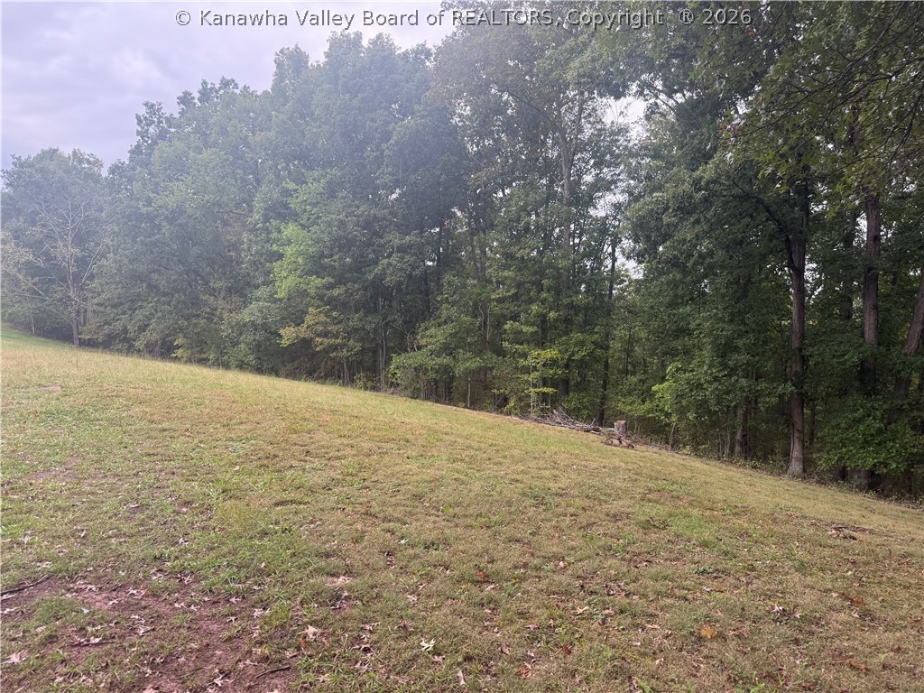 7438 Stone Lick Road Gay, WV 25244 - Photo 14 of 14 Gallery Image 14