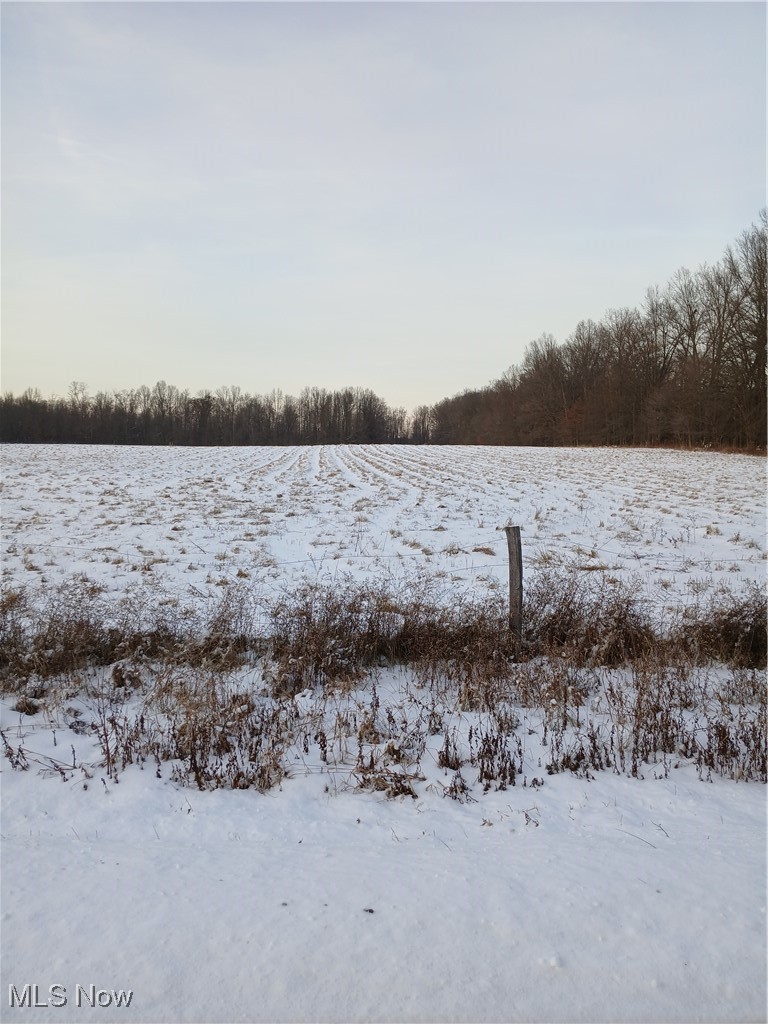 Selkirk Bush Road Newton Falls, OH 44444 - Photo 1 of 2 Gallery Image 1