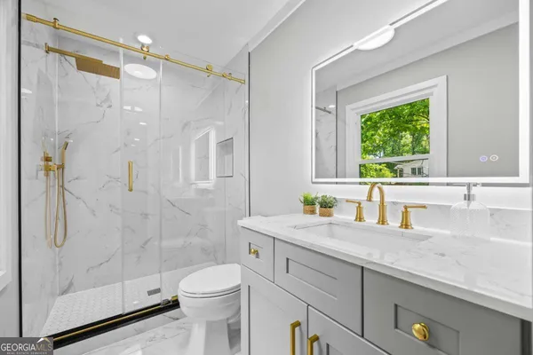 a view of a forest with trees in the background